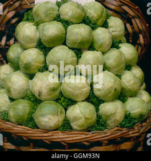 Brussels Sprout - F1 `Stan'   VEG058898 Stock Photo